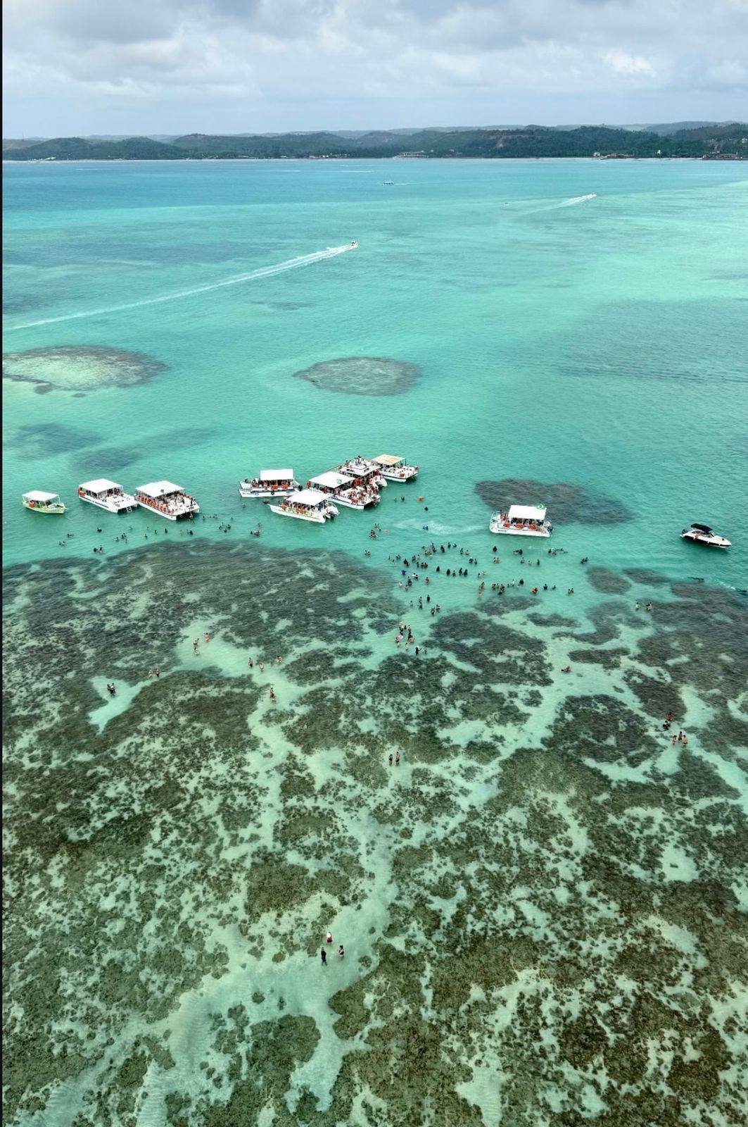 Vista aérea catamarãs recife